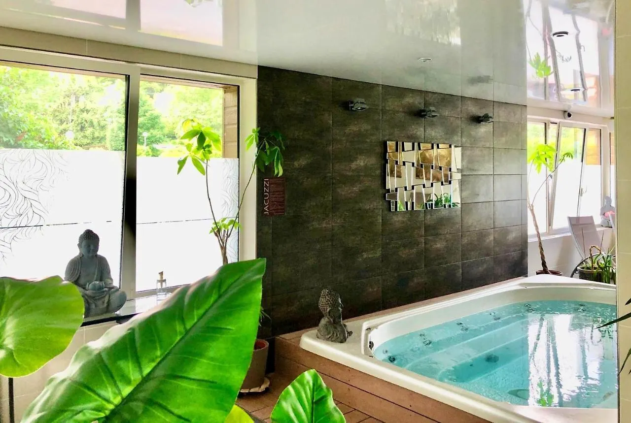 Mobile Home Auvergne Besse-et-Saint-Anastaise Chalet